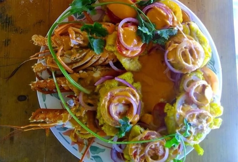 Urantia Beach Hostel & Camping