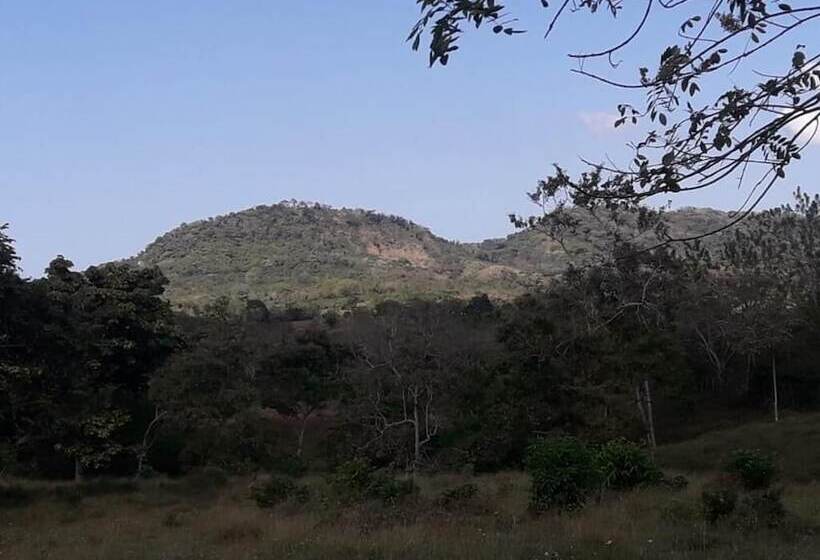 Urantia Beach Hostel & Camping