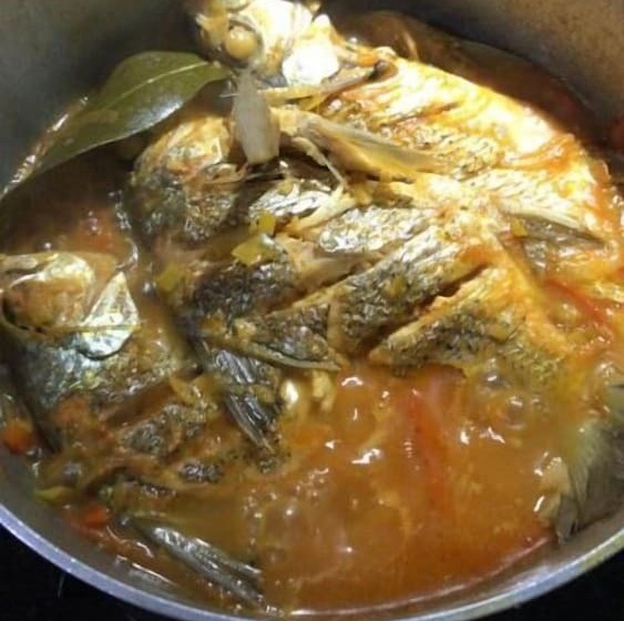 Urantia Beach Hostel & Camping