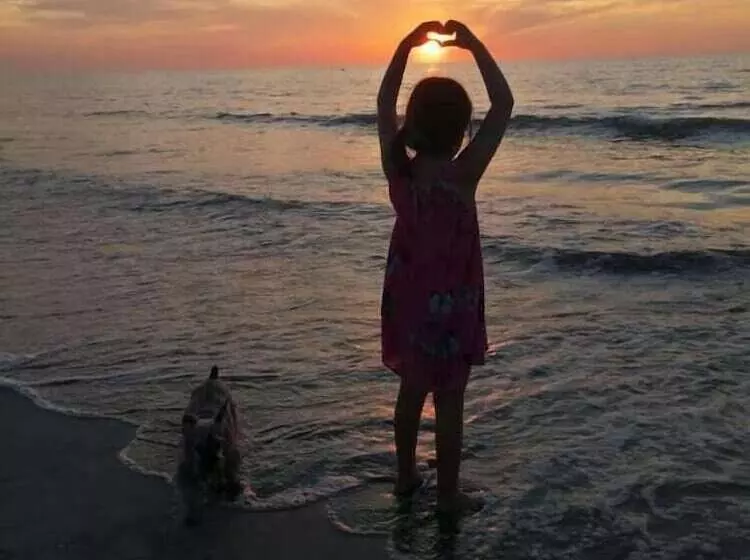 Urantia Beach Hostel & Camping