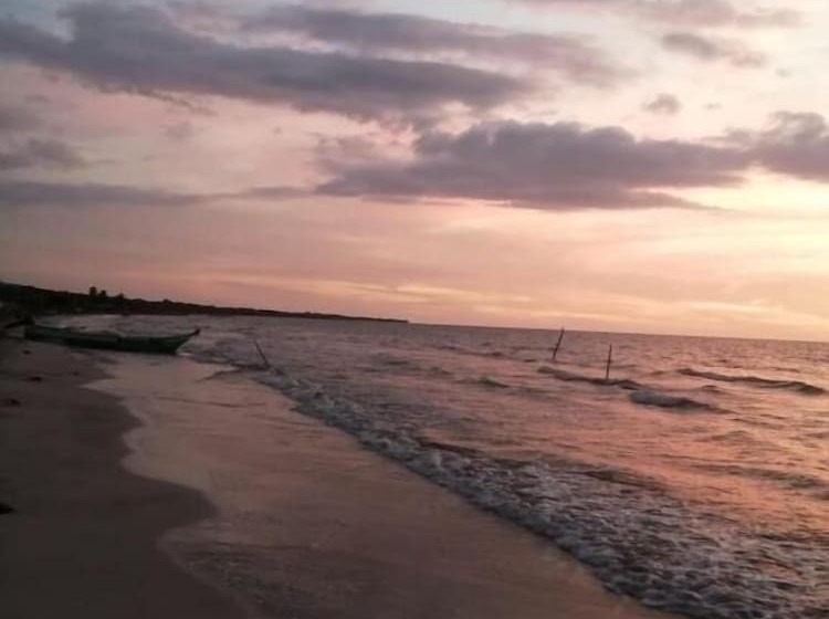 Urantia Beach Hostel & Camping