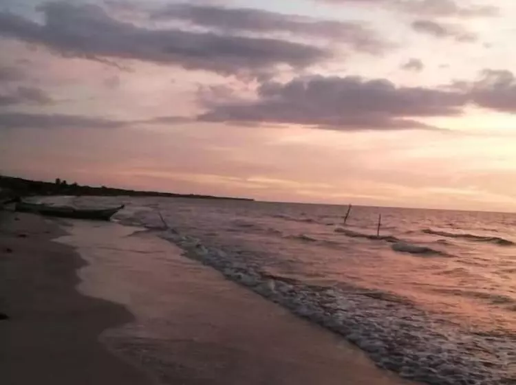 Urantia Beach Hostel & Camping