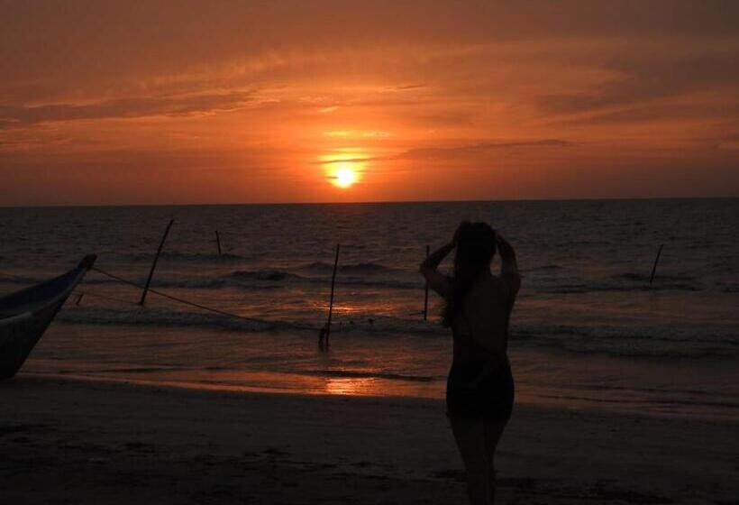 Urantia Beach Hostel & Camping