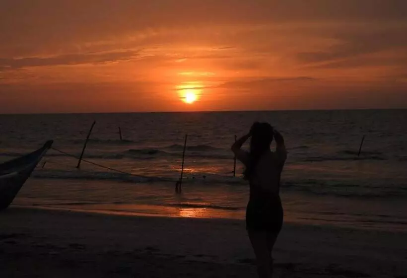 Urantia Beach Hostel & Camping