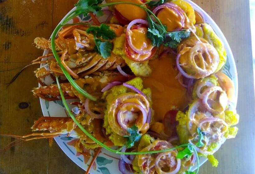 Urantia Beach Hostel & Camping