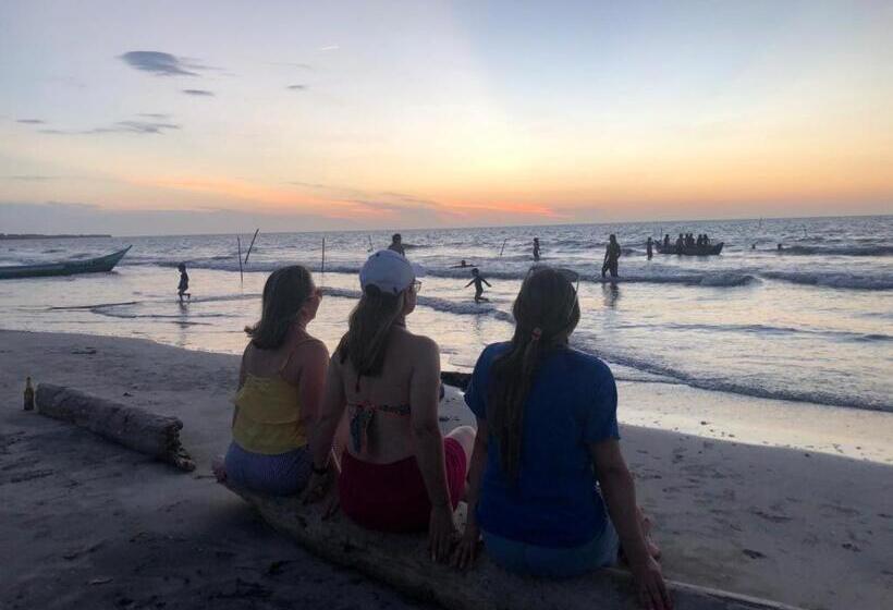 Urantia Beach Hostel & Camping