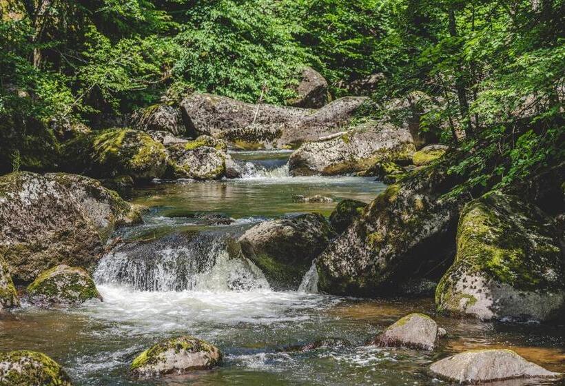 膳宿费 Guest House Rosenovi