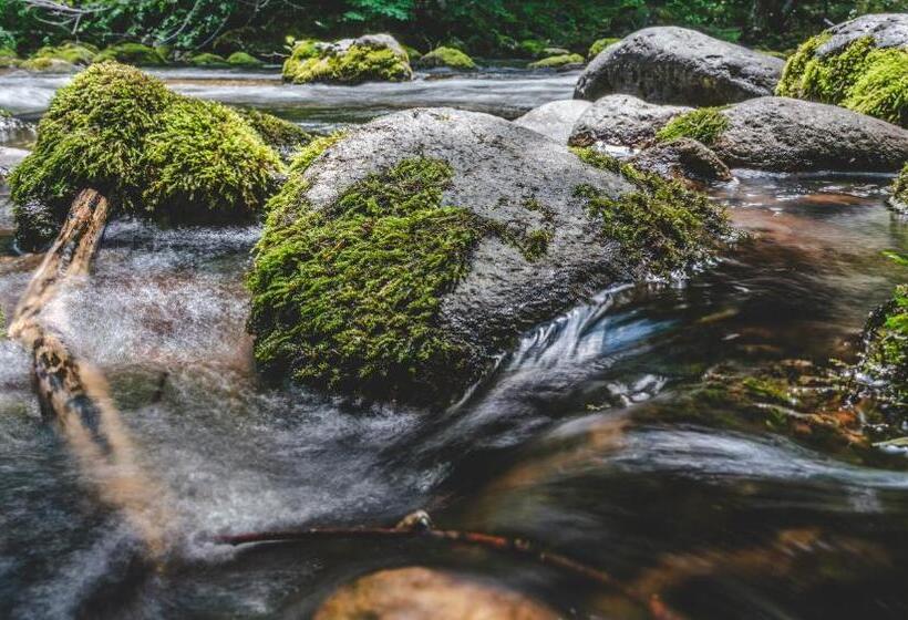 膳宿费 Guest House Rosenovi