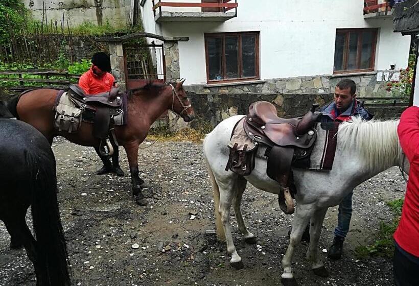 膳宿费 Guest House Rosenovi