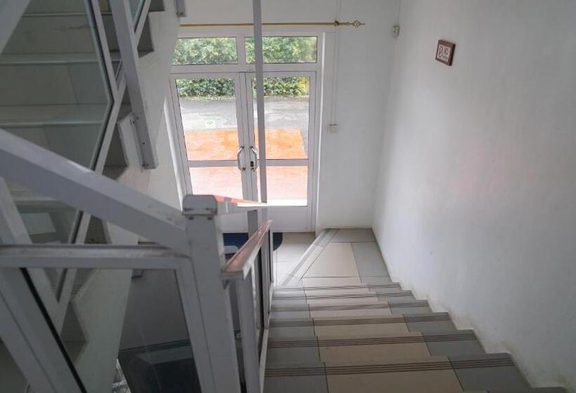 تختخواب و صبحانه La Dorade