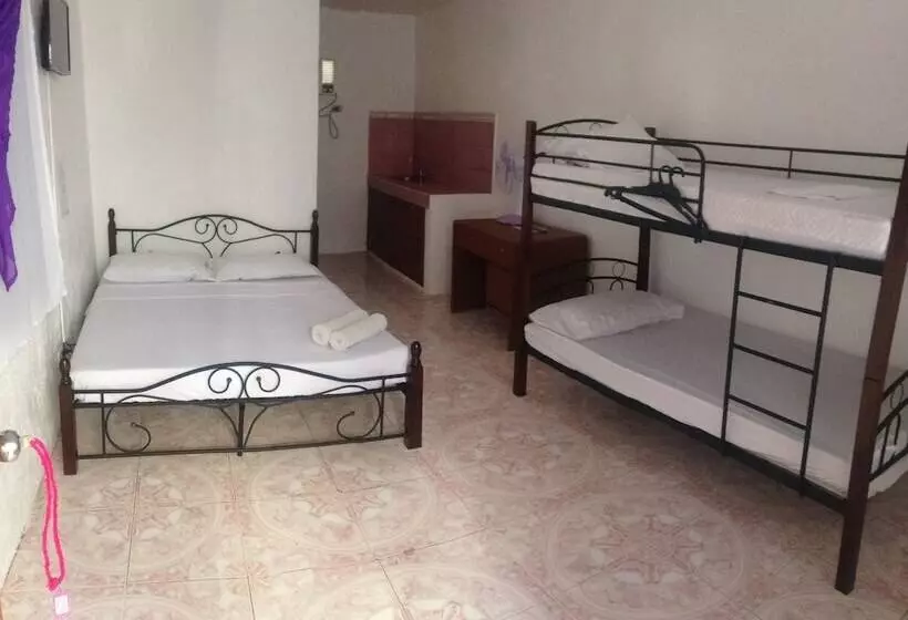 هتل Lola S Lodge