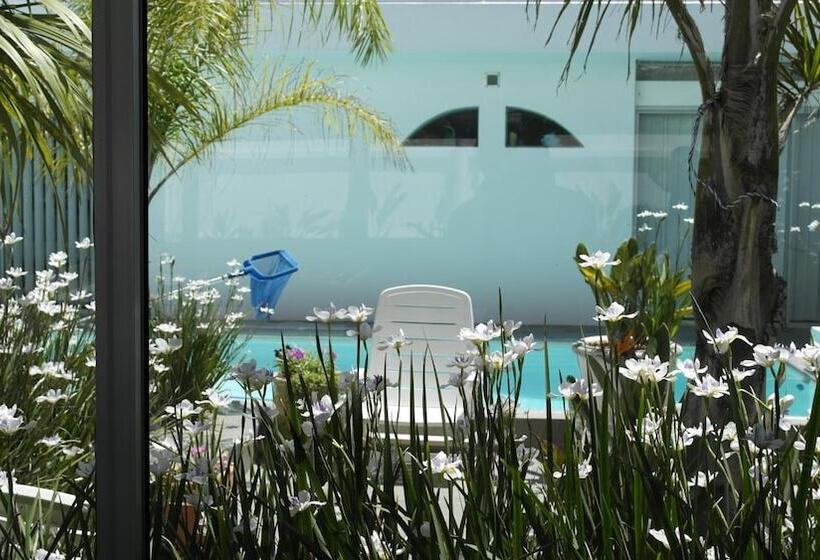 Admiralty Bed & Breakfast