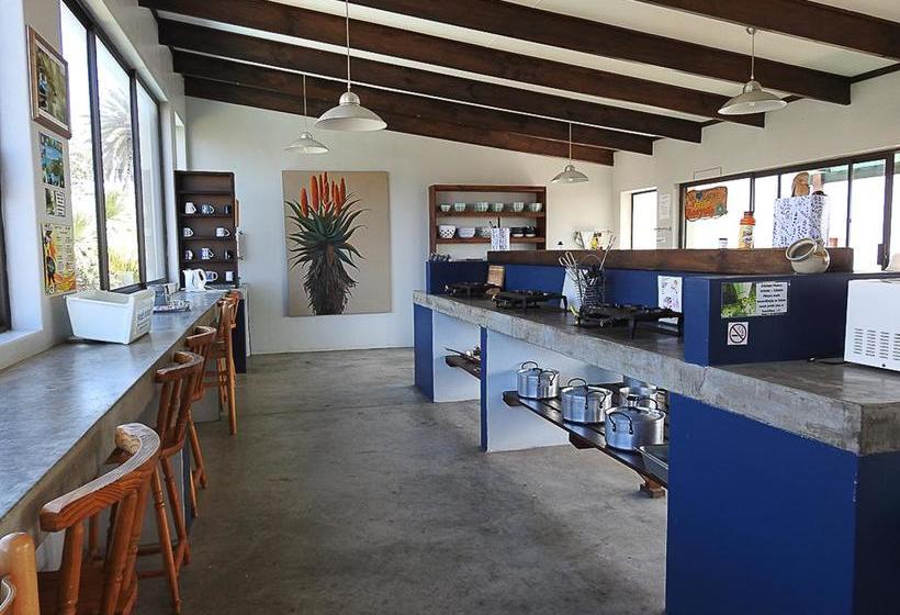 旅馆 Mossel Bay Backpackers