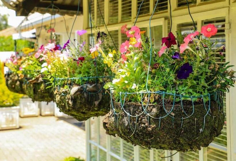 צימר Aberdeen House