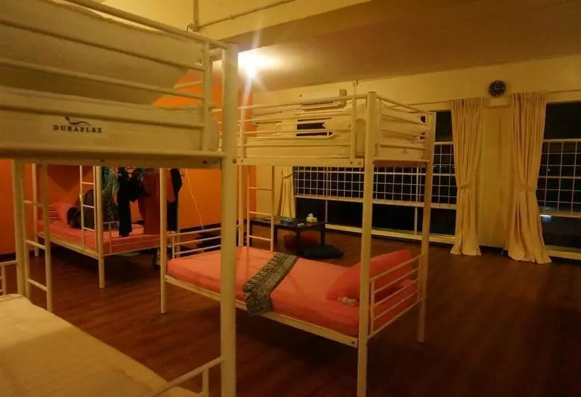 تختخواب و صبحانه Best Bunk Beds