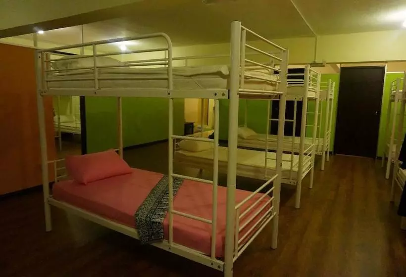 تختخواب و صبحانه Best Bunk Beds