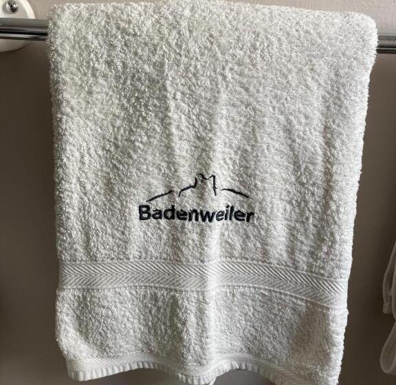 住宿加早餐  Haus Barbara Guest House