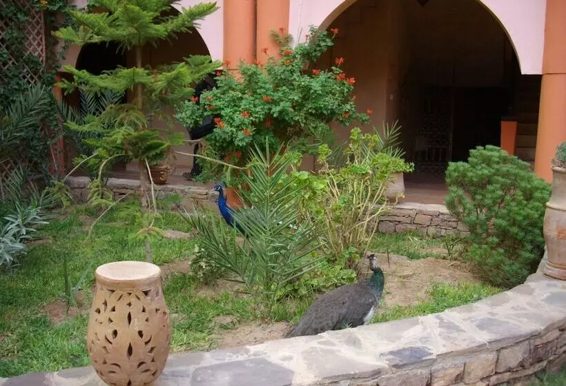 ベッドアンドブレックファースト Kasbah Zitoune