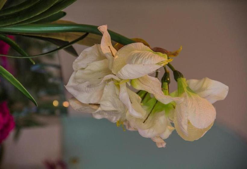 צימר La Loggia On Broadwood