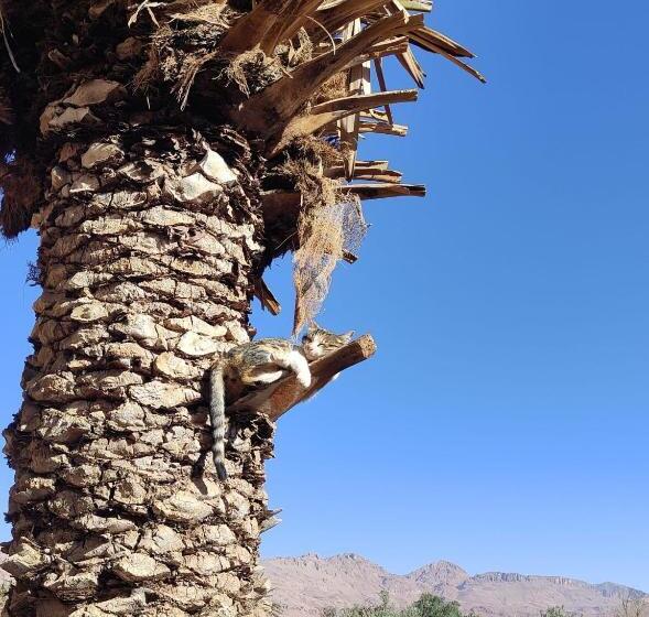 Bed and Breakfast Le Retour Au Calme Maison D Hôtes