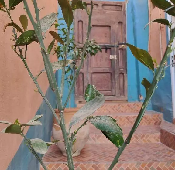 تختخواب و صبحانه Le Retour Au Calme Maison D Hôtes