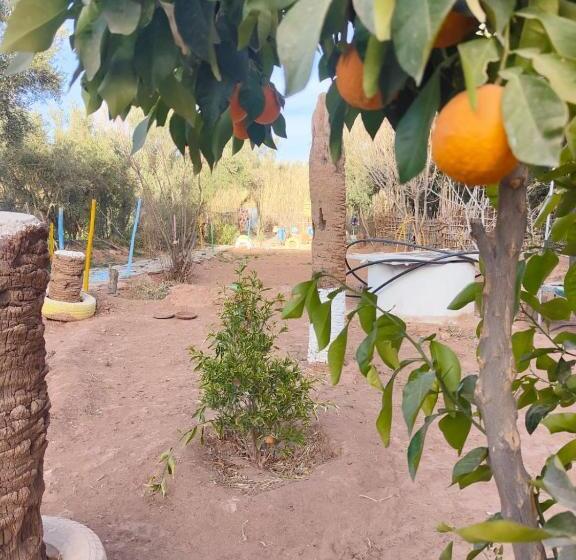 Bed and Breakfast Le Retour Au Calme Maison D Hôtes