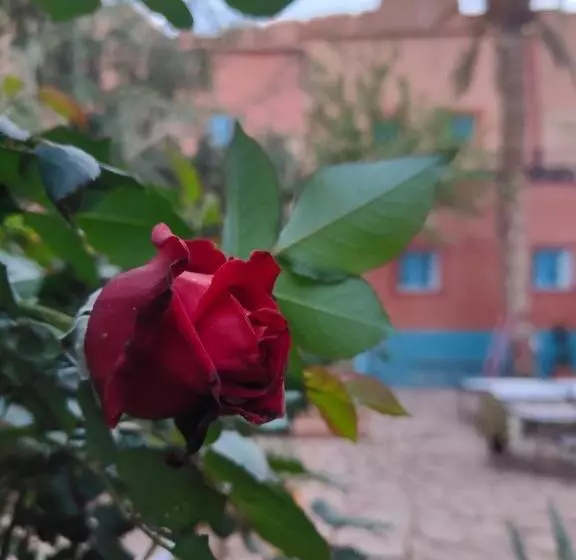تختخواب و صبحانه Le Retour Au Calme Maison D Hôtes