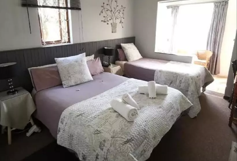ベッドアンドブレックファースト Sunbird Guest House