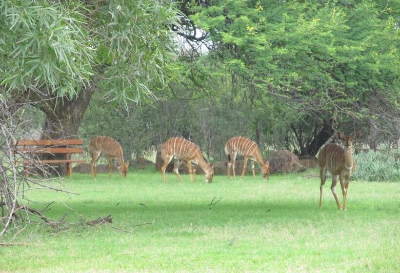 Boubou Bed And Breakfast