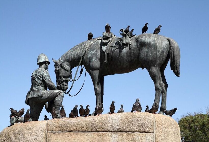 בית מלון כפרי 10 On Cape Self Catering Apartments