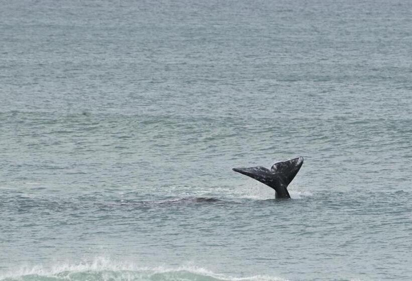 Hotelli Shaloha Guesthouse On Supertubes