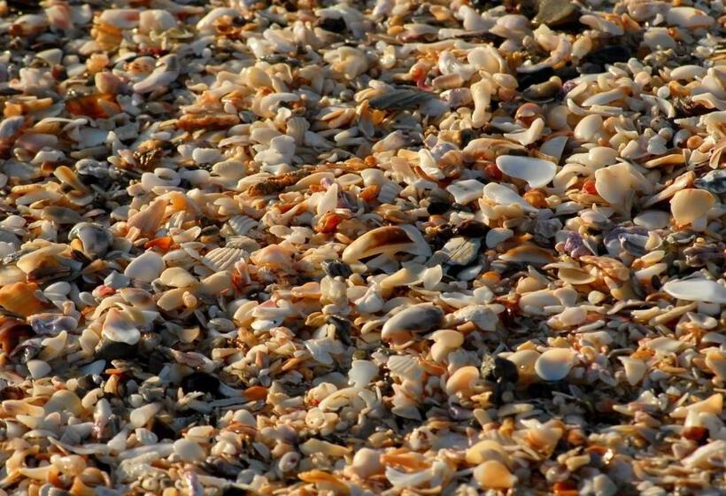 Hotelli Shaloha Guesthouse On Supertubes