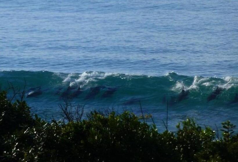 Hotelli Shaloha Guesthouse On Supertubes