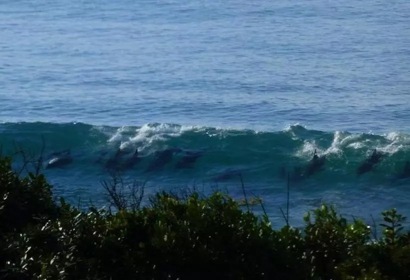 Hotelli Shaloha Guesthouse On Supertubes