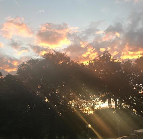 리조트 Marepe Country Lodge