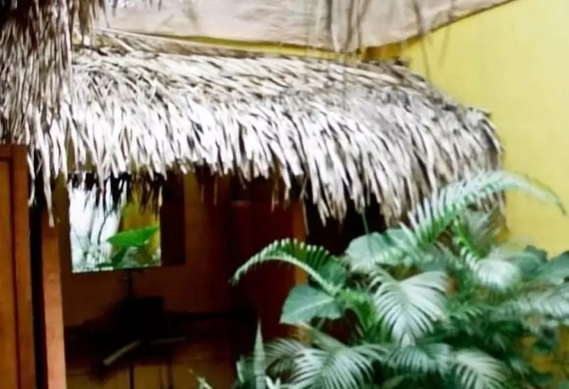 Retkeilymaja Hostal San Pancho