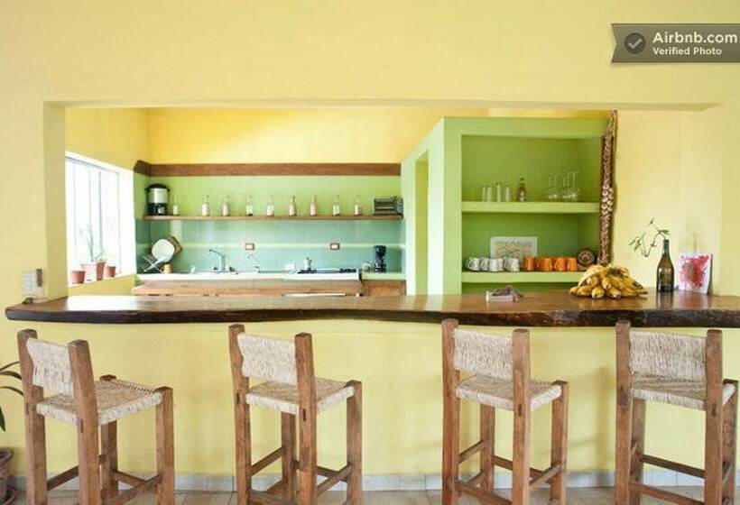 ユースホステル Hostal San Pancho