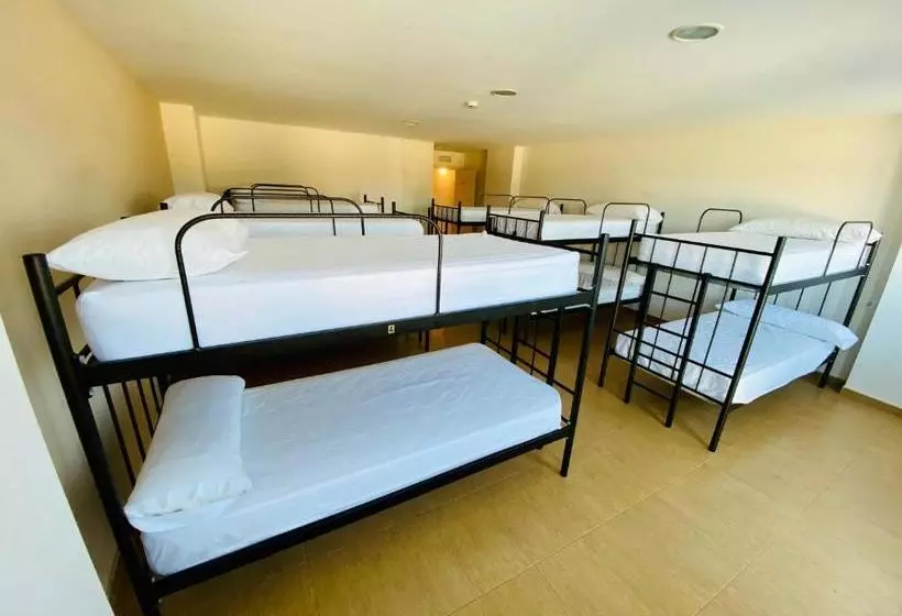 Albergue Internacional