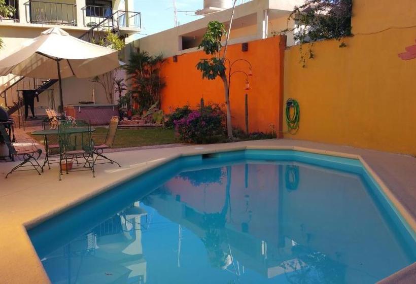 Bed and Breakfast Posada Colibri