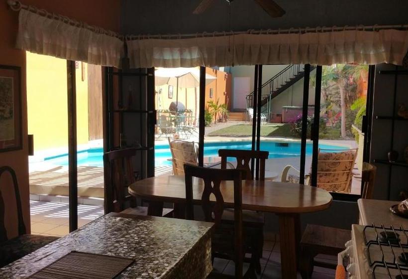 Bed and Breakfast Posada Colibri