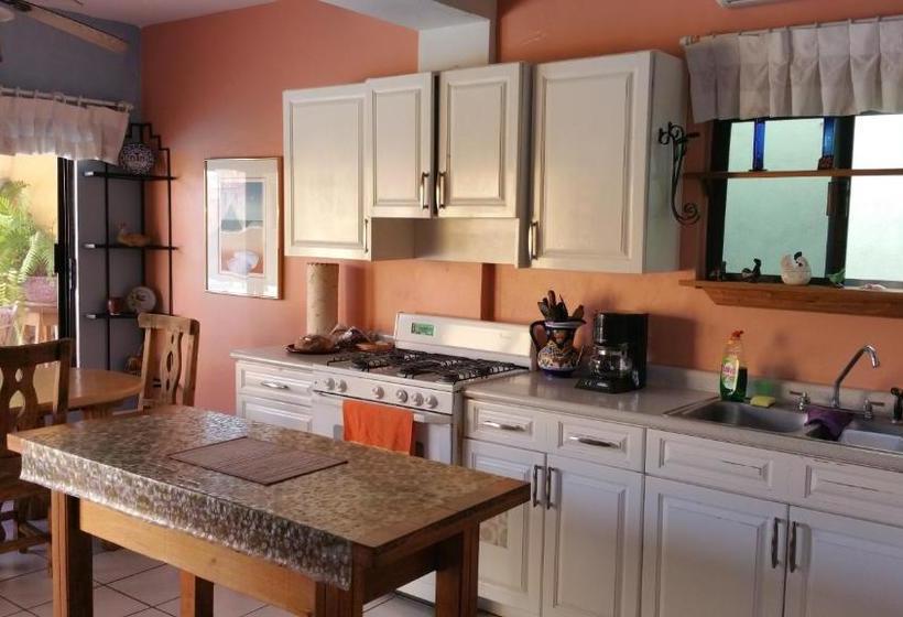 Bed and Breakfast Posada Colibri