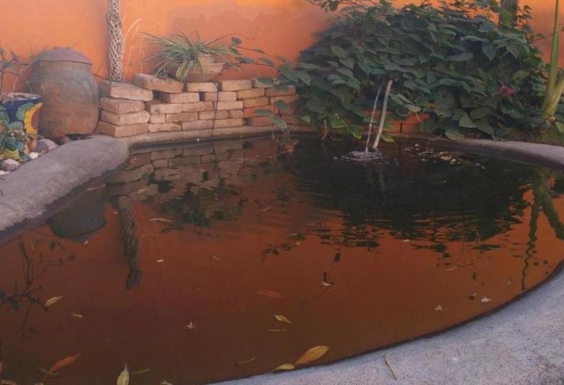 Bed and Breakfast Posada Colibri