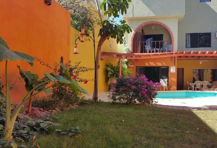Bed and Breakfast Posada Colibri
