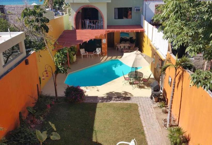 Bed and Breakfast Posada Colibri