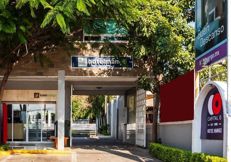 Collection O Hotel Mango,six Flags Hurricane Harbor Oaxtepec