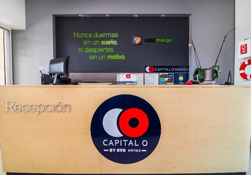 Collection O Hotel Mango,six Flags Hurricane Harbor Oaxtepec