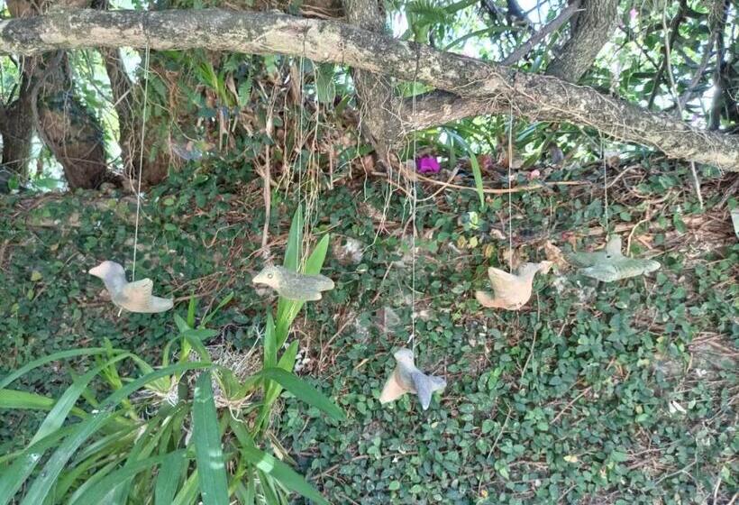 فندق Boutique Casabella