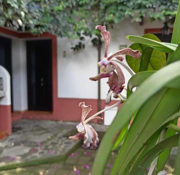 فندق Boutique Casabella