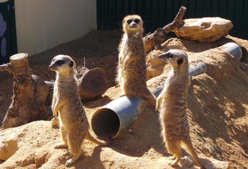 فندق Centre Algarve