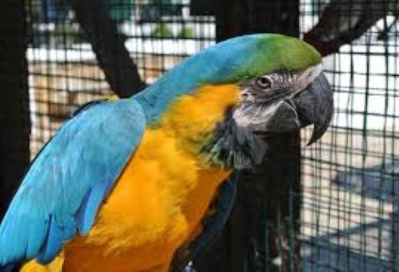 فندق Centre Algarve